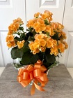 Begonia from Aladdin's Floral in Idaho Falls